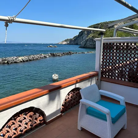 Apartamento Raffaela's House - *